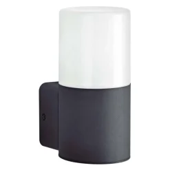 Aplique 1L Palma