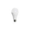 Bombilla estandar led 17w 5000k E27